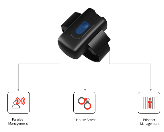 Offender monitoring in Mexico using Wialon